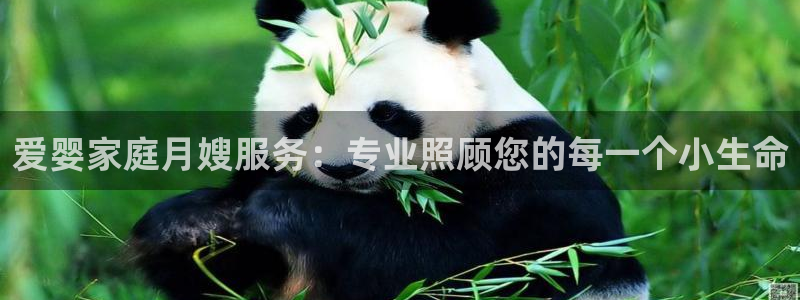 杏悦平台可靠吗可信吗知乎