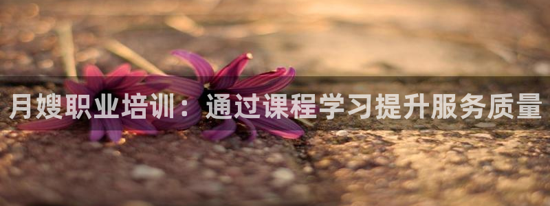 杏悦平台代理怎么样赚钱