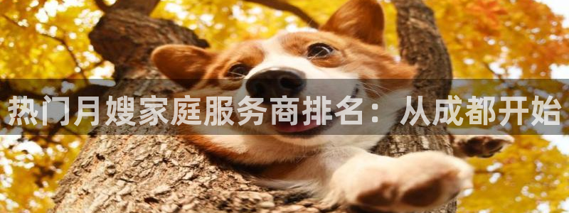 杏悦平台注册地址