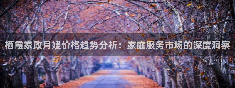 杏悦娱乐注册平台官网