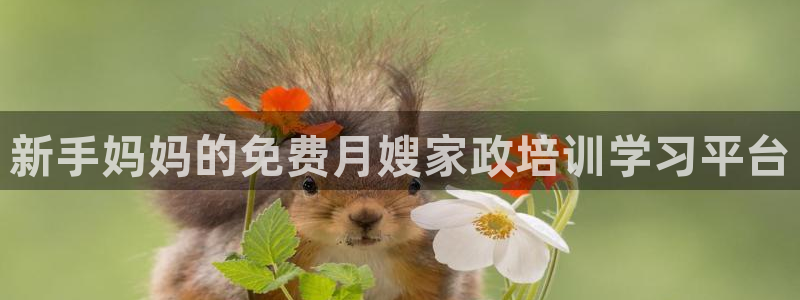 杏悦娱乐是什么