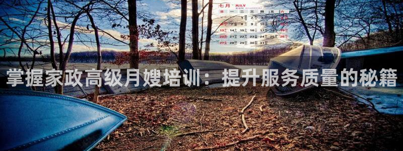 杏悦平台注册流程