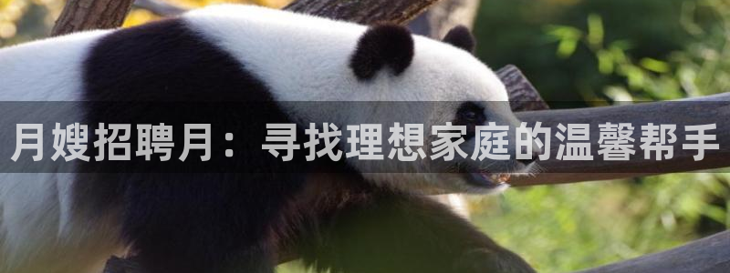 杏悦平台登录入口官网