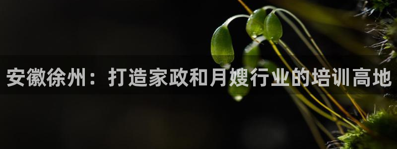 杏悦平台代理注册要钱吗