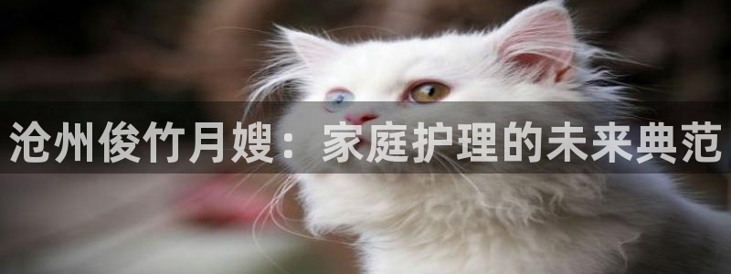 杏悦平台代理怎么赚钱的