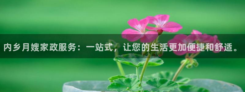 杏悦平台官网注册