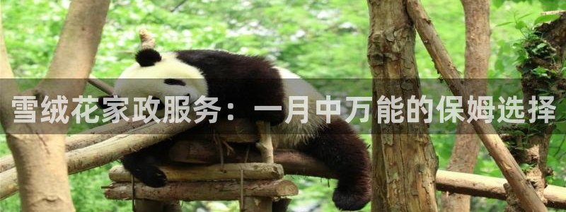 杏悦是什么平台