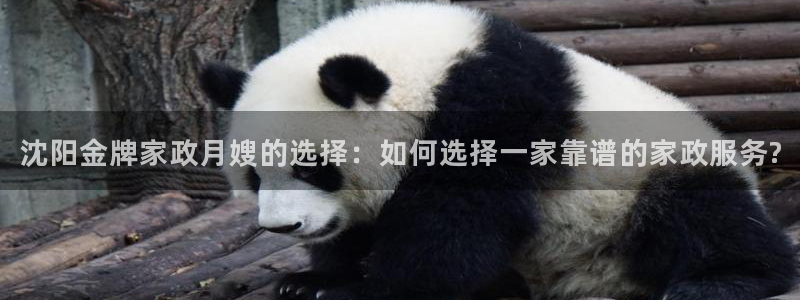 杏悦平台注册网址