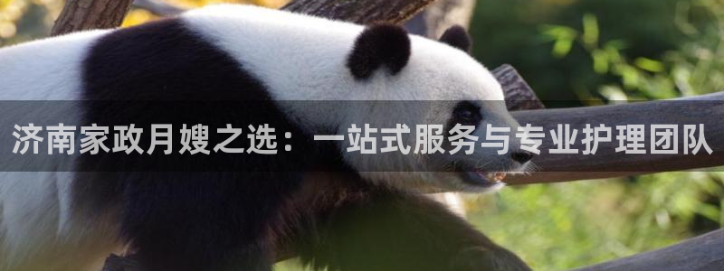 杏悦平台线路测速