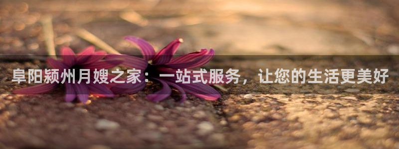 杏悦平台招商电话