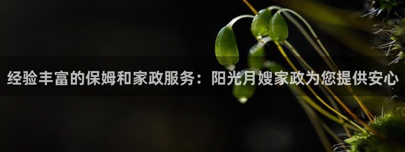 杏悦平台线路测速