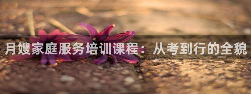 杏悦平台登录地址