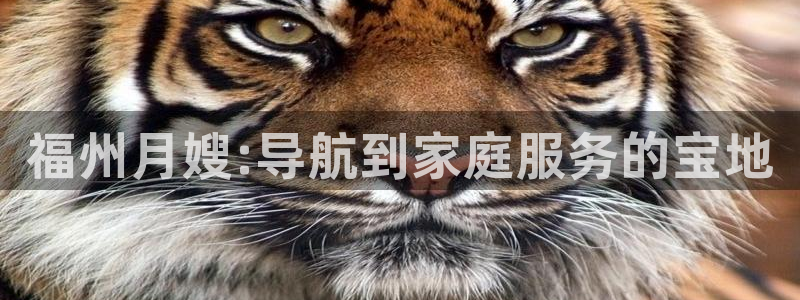 杏悦平台代理怎么赚钱