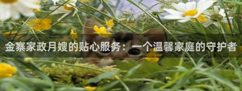 杏悦官方平台官网