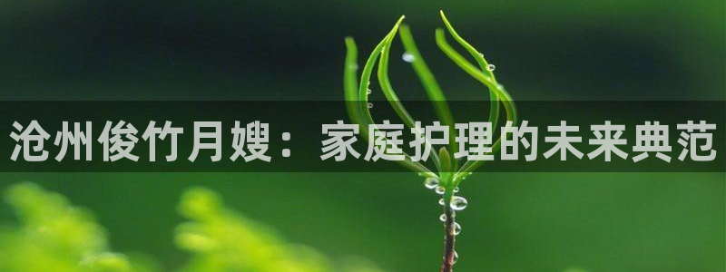 杏悦平台代理怎么样