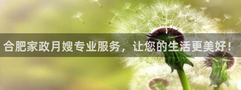 杏悦平台如何注册账号