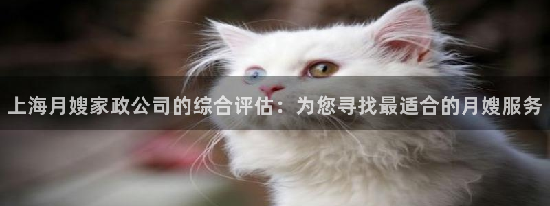 杏悦平台开户地址怎么改