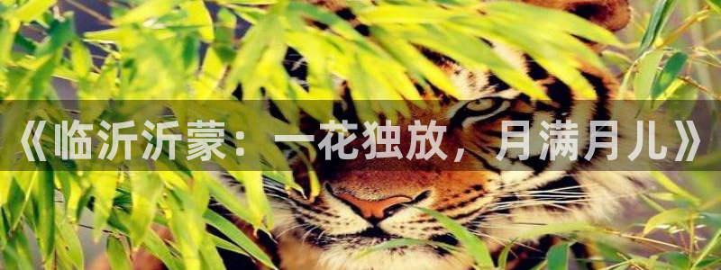 杏悦平台登录地址在哪里