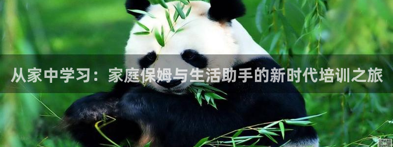 杏悦平台代理怎么样