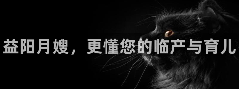 杏悦平台招商电话