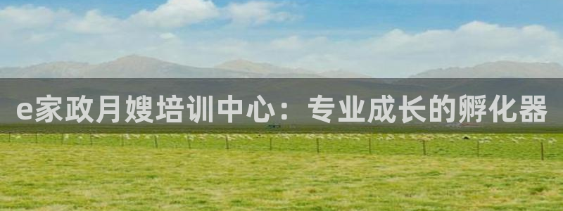 杏悦娱乐注册平台官网