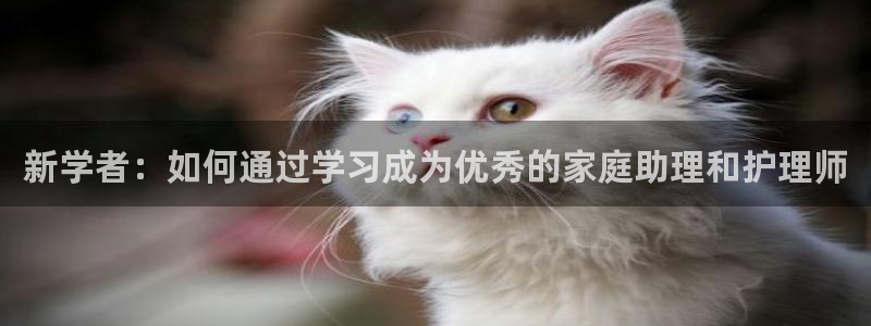 杏悦平台代理怎么样赚钱