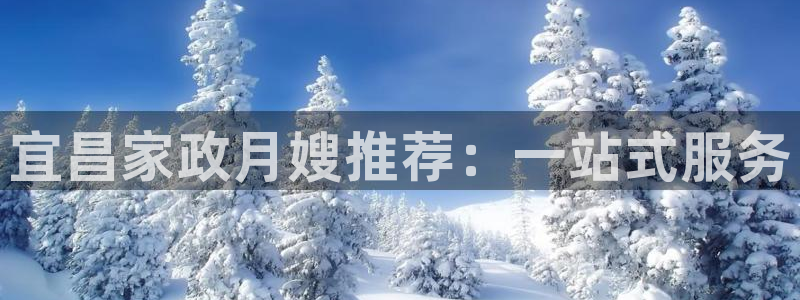 杏悦官方平台官网