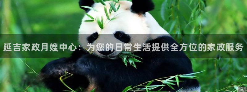 杏悦平台登录网址查询