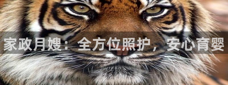 杏悦平台登录网址是什么