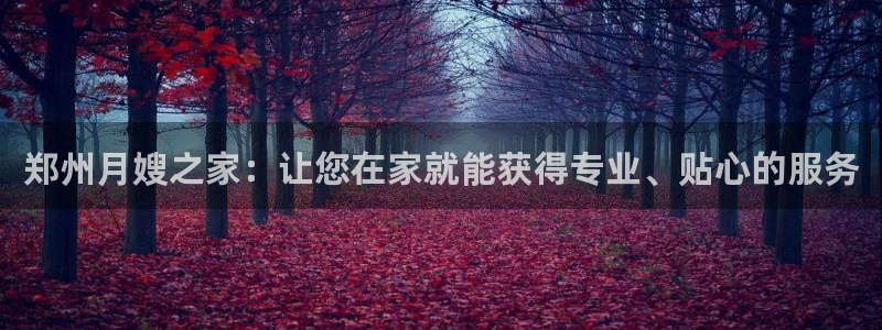 杏悦官网注册信息在哪里看