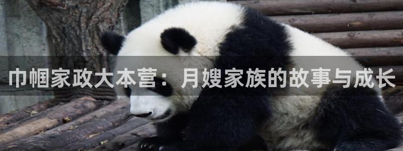 杏悦平台登录网址是多少