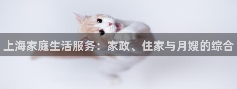 杏悦平台注册流程