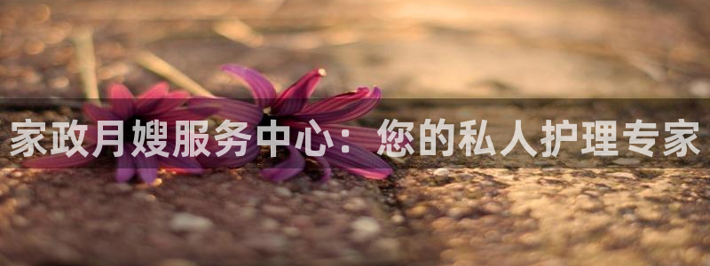 杏悦官方平台官网入口