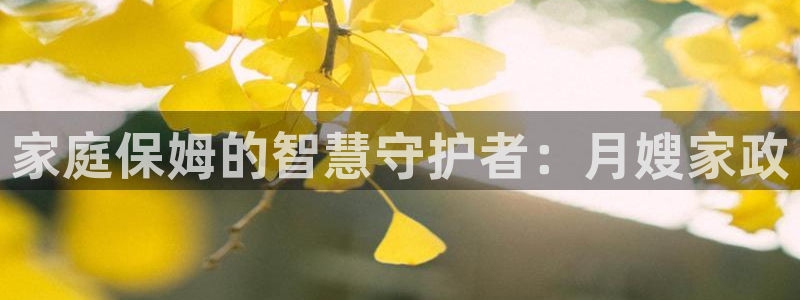 杏悦平台线路测速