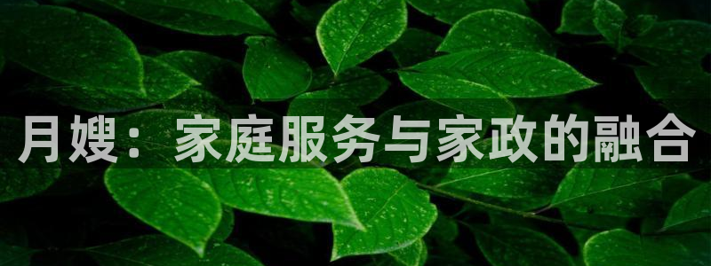 杏悦平台登录网址是什么