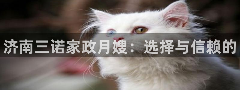 杏悦平台注册网址