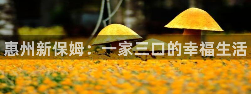 杏悦官网注册信息是什么样的