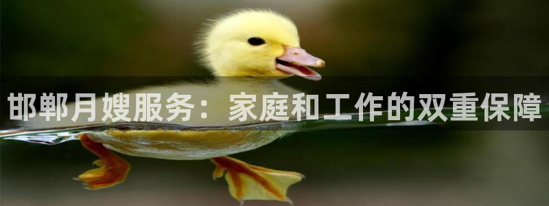 杏悦娱乐注册平台有哪些