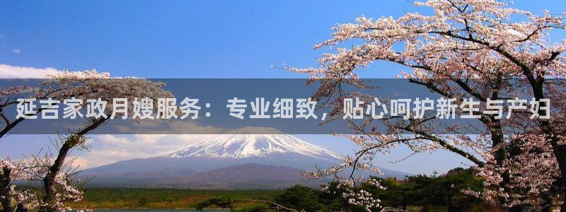 杏悦平台线路测速